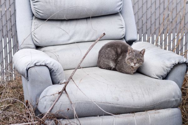 Recliner Disposal in Cedar Rapids
